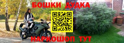кокаин Новодвинск