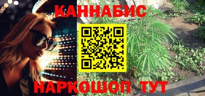 PSILOCYBIN Новозыбков