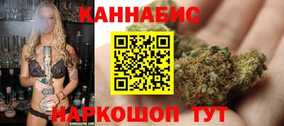 индика Новокубанск