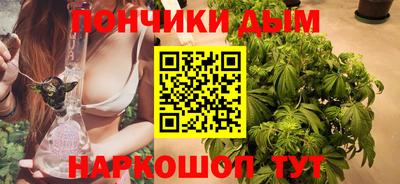 индика Новокубанск