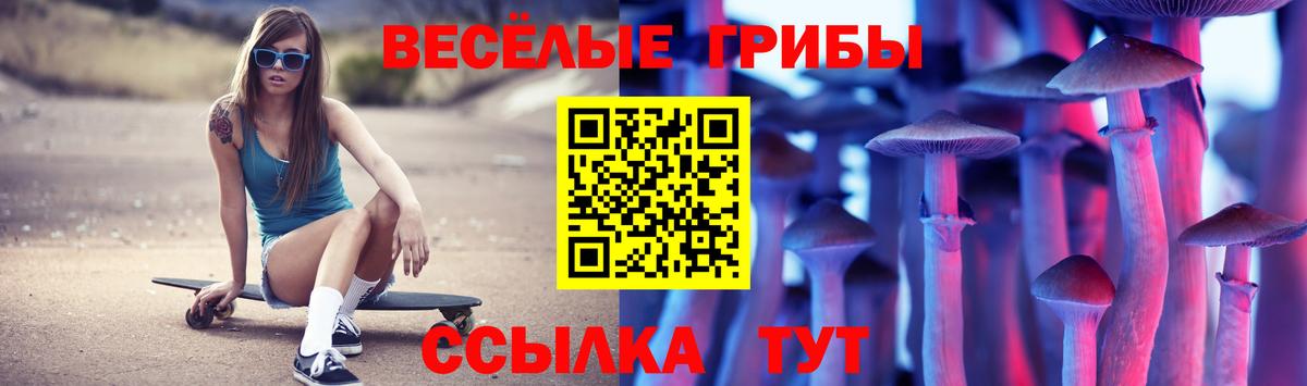 Северобайкальск  Псилоцибиновые грибы Cubensis  Вход с VPN 